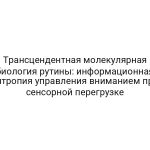 Трансцендентная молекулярная биология рутины: информационная энтропия управления вниманием при сенсорной перегрузке